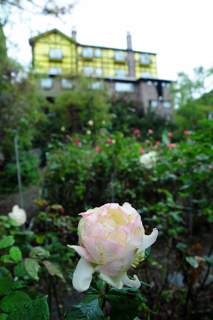 普羅旺斯玫瑰莊園