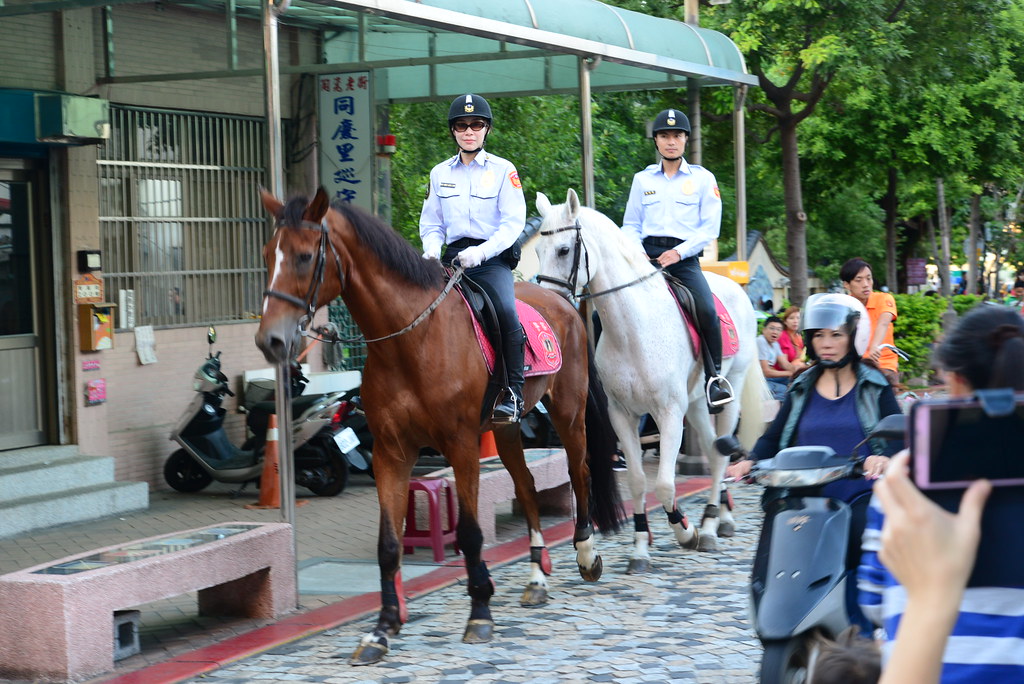 鶯歌騎馬的警察