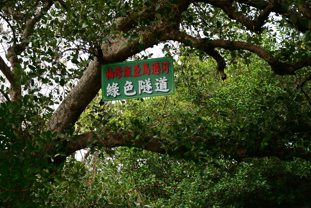 台南四草綠色隧道