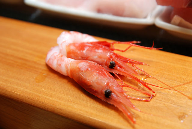 阿吉師－牡丹蝦