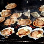 [08夏-日本] 小樽商店街上超便宜好吃的烤扇貝