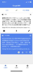 Translator-iOS-PhotoJap05